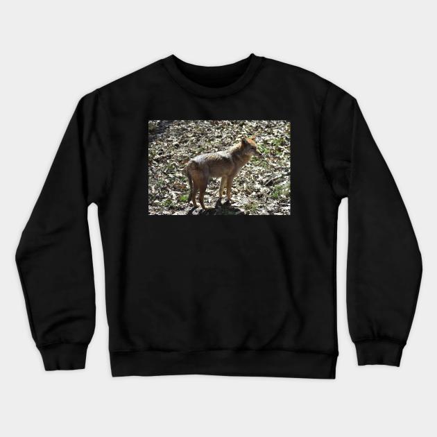 Coyote Crewneck Sweatshirt by MarieDarcy